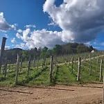 La Ca' Dal Tunec Nyaraló Valduggia