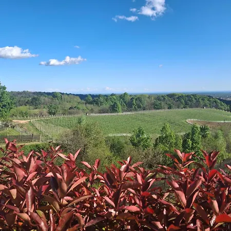 La Ca' Dal Tunec بيت للعطل Valduggia