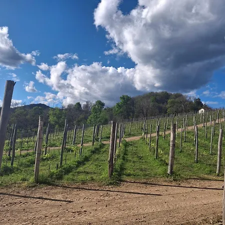 La Ca' Dal Tunec بيت للعطل Valduggia