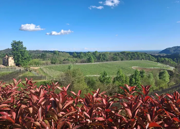 La Ca' Dal Tunec Holiday home Valduggia