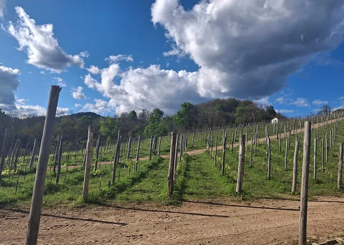 La Ca' Dal Tunec Holiday home Valduggia